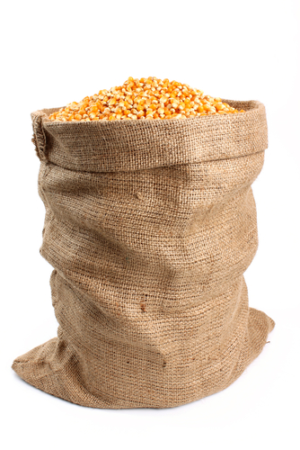 sack of corn